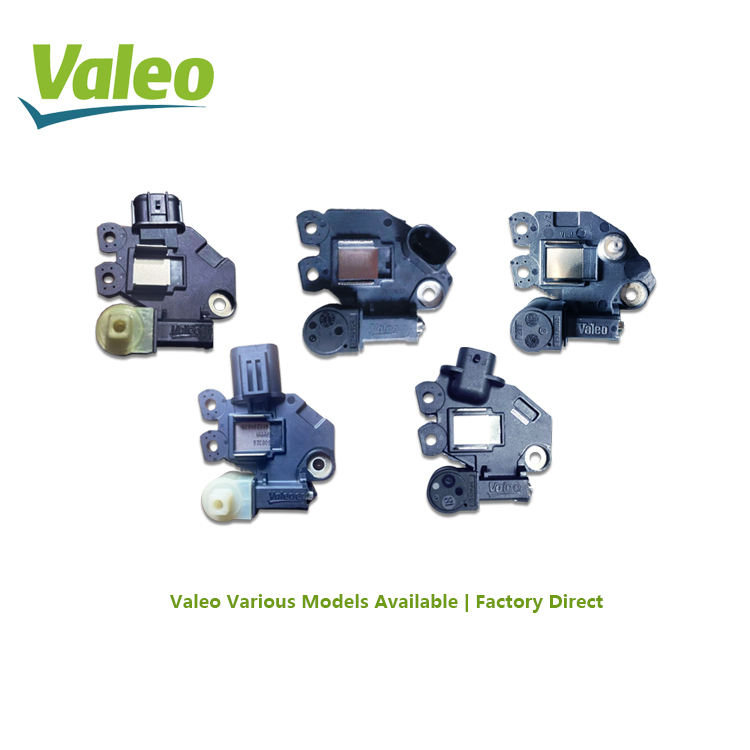 Alternator voltage regulator with heat sink and connector